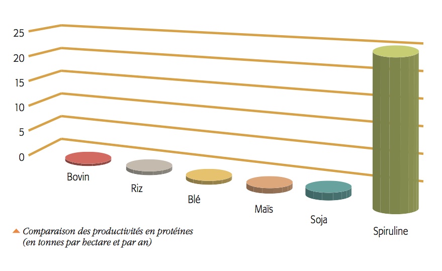 Comparaison des productivités en protéines (en tonnes par hectare et par an).