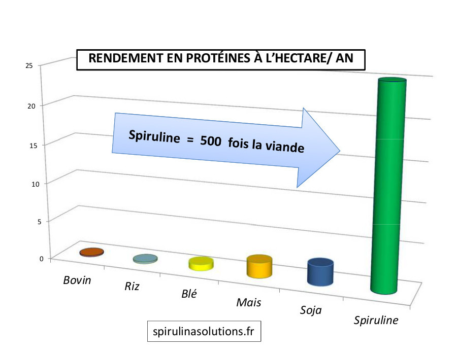 spiruline_proteines