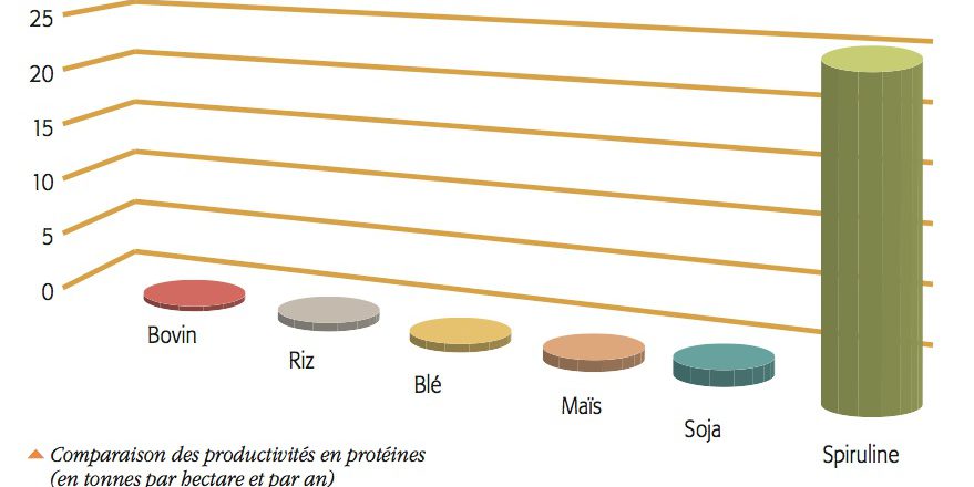 Comparaison des productivités en protéines (en tonnes par hectare et par an)